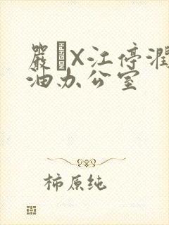 严峫X江停润滑油办公室