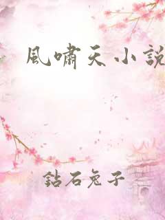 风啸天小说