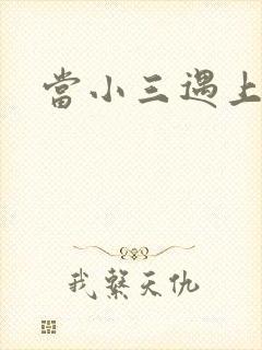 当小三遇上小四