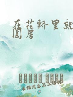 在花轿里就开始圆房