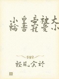 小皇帝被大臣们轮番宠爱小说