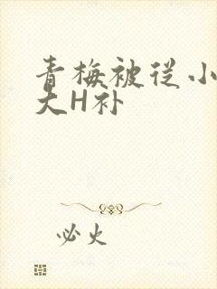 青梅被从小摸到大H补