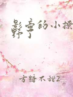 影帝的小撩精太野了