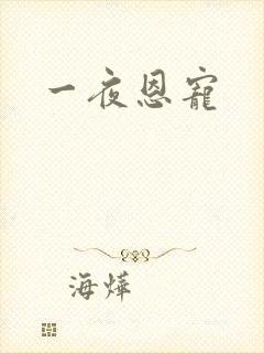 一夜恩宠