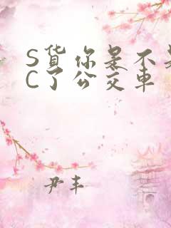 S货你是不是欠C了公交车