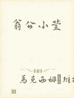 翁公小莹