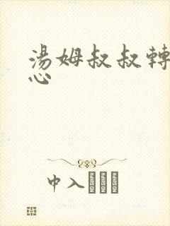 汤姆叔叔转入中心