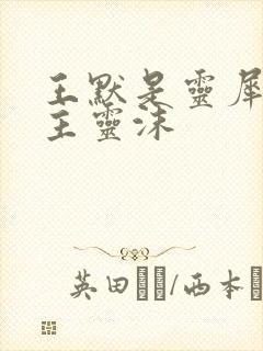 王默是灵犀阁公主灵沫