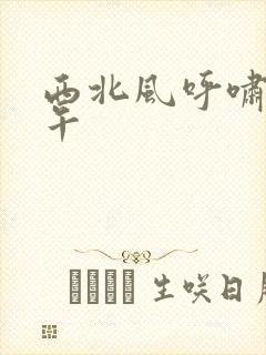 西北风呼啸的中午