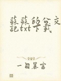 苏苏的公交车日记txt下载