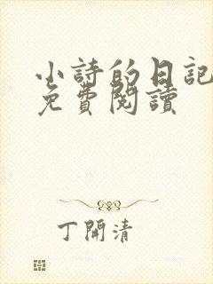 小诗的日记全文免费阅读