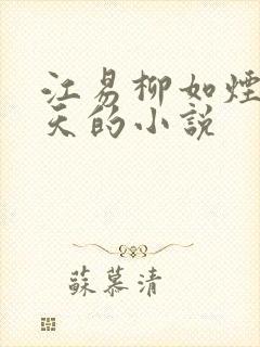 江易柳如烟秦少天的小说