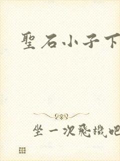 圣石小子下载