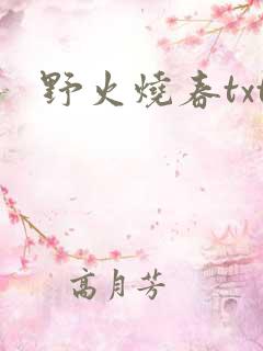 野火烧春txt
