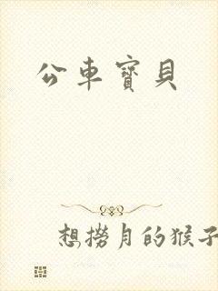 公车宝贝