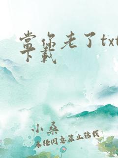 当你老了txt下载