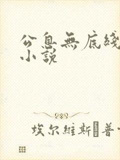 公息无底线的爱小说