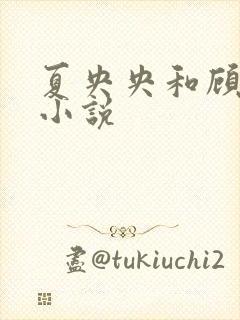 夏央央和顾祁琛小说