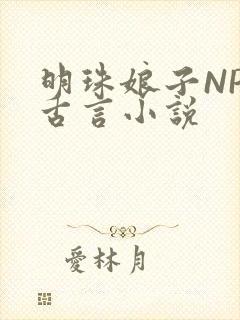 明珠娘子NPC古言小说
