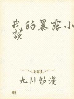 我的暴露小说小说