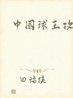 中国球王攻略
