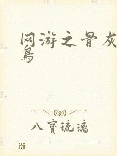 网游之骨灰级菜鸟