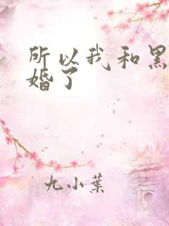 所以我和黑粉结婚了