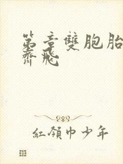 第章双胞胎姐妹齐飞