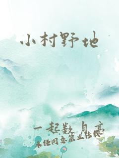 小村野地