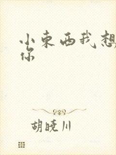 小东西我想弄坏你