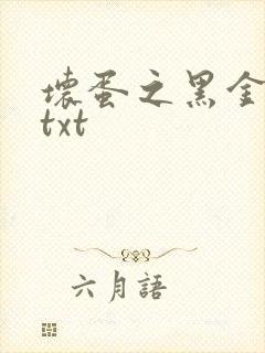 坏蛋之黑金帝国txt