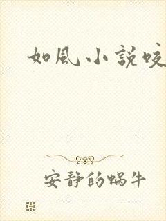 如风小说咬春饼