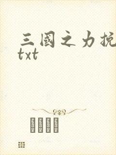 三国之力挽狂澜txt