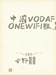 中国VODAFONEWIFI粗暴APP