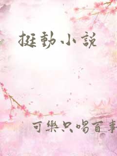 挺动小说