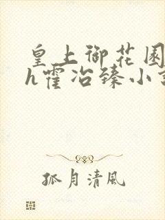 皇上御花园hlh霍冶臻小说