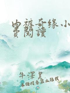 内裤奇缘小说免费阅读