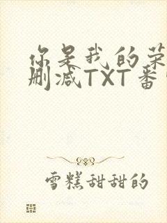你是我的荣耀未删减TXT番外