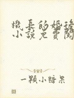 机长的婚后日常小说免费阅读