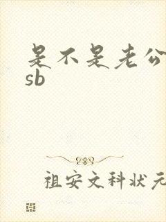 是不是老公的小sb