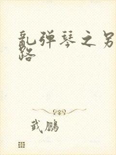 乱弹琴之另一条路