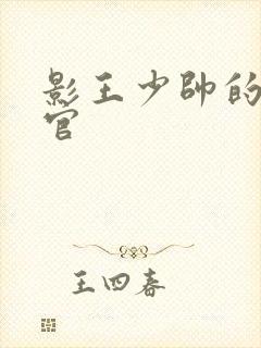 影王少帅的女长官