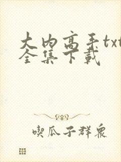 大内高手txt全集下载