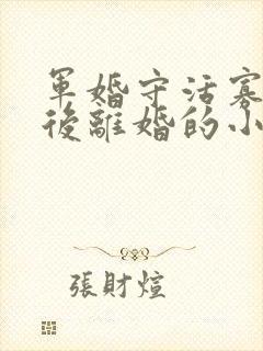 军婚守活寡重生后离婚的小说