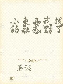 小东西我找到你的敏感点了