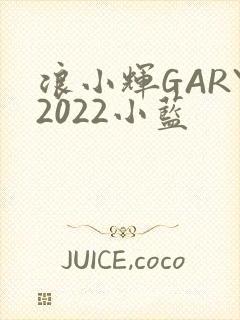 浪小辉GARY2022小蓝