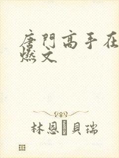 唐门高手在异世燃文