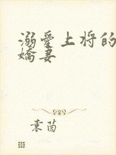 溺爱上将的宝贝娇妻