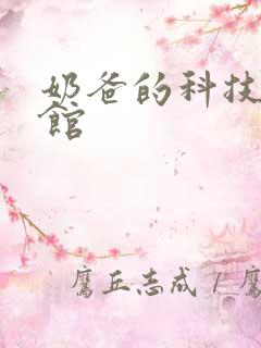 奶爸的科技武道馆