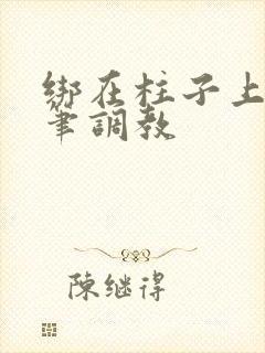 绑在柱子上用毛笔调教